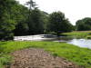 Thumbnail fotopier_2007.07.22_10.46.42_jogacodon.jpg:  