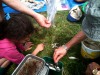 Thumbnail jogacodon2012_claire_2728.jpg:  